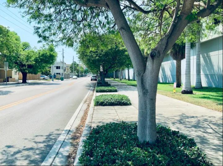 Apartments In The Heart Of Miami - Port Of Miami / Miami Airport Ngoại thất bức ảnh